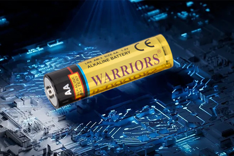 Warriors AA Alkaline Batteries